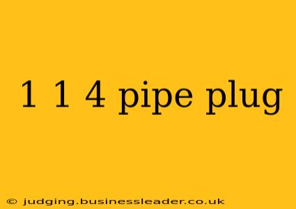 1 1 4 pipe plug