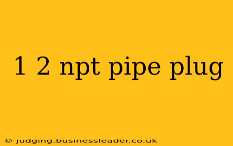 1 2 npt pipe plug