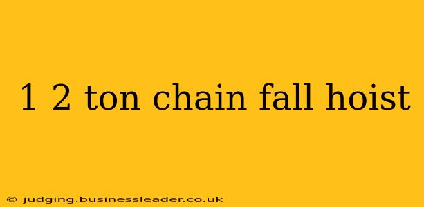 1 2 ton chain fall hoist