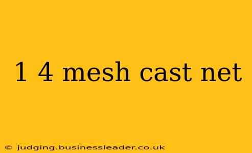 1 4 mesh cast net
