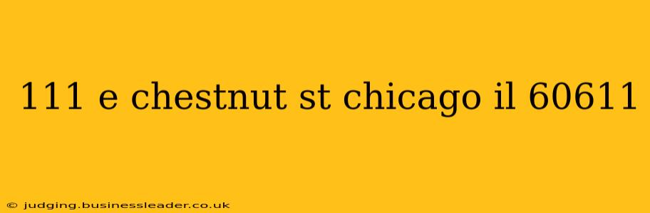 111 e chestnut st chicago il 60611