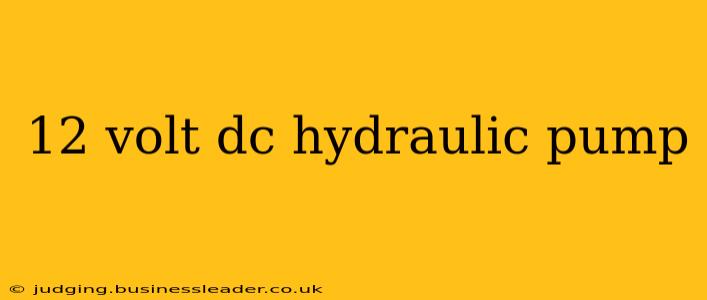 12 volt dc hydraulic pump