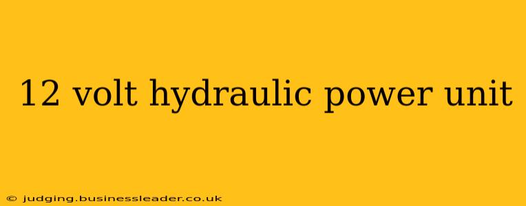 12 volt hydraulic power unit