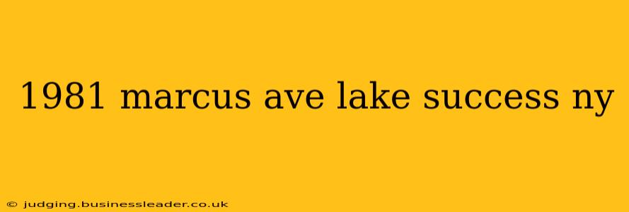 1981 marcus ave lake success ny