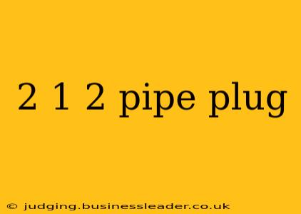 2 1 2 pipe plug