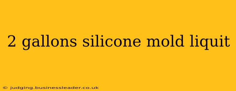 2 gallons silicone mold liquit