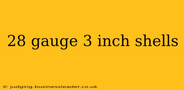 28 gauge 3 inch shells