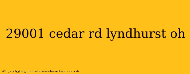29001 cedar rd lyndhurst oh