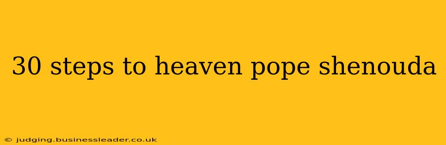 30 steps to heaven pope shenouda
