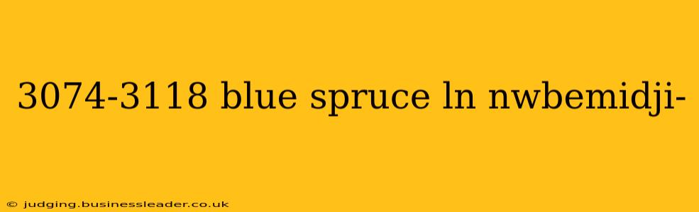 3074-3118 blue spruce ln nwbemidji-
