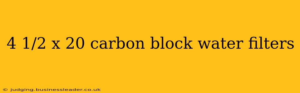 4 1/2 x 20 carbon block water filters