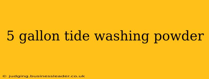 5 gallon tide washing powder