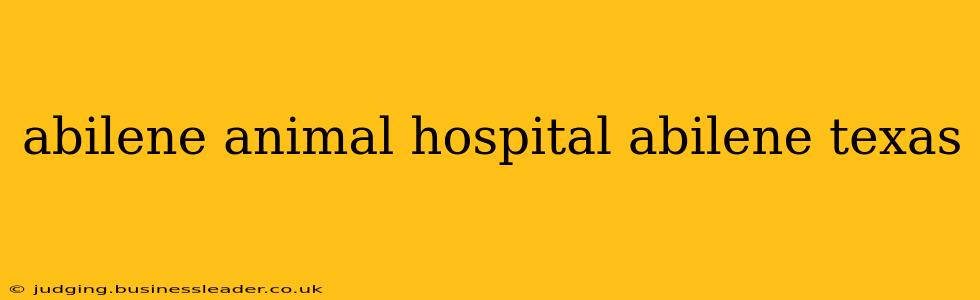 abilene animal hospital abilene texas