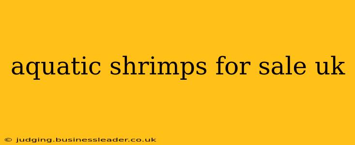 aquatic shrimps for sale uk