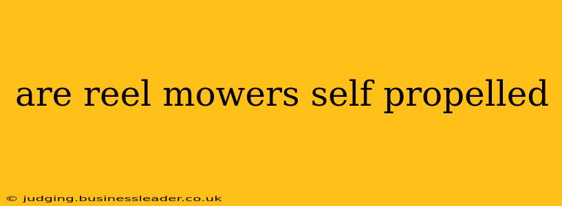 are reel mowers self propelled