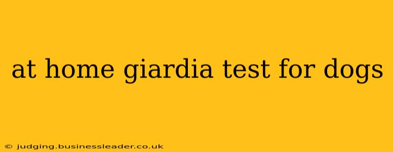 at home giardia test for dogs