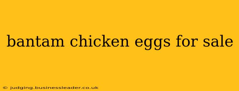 bantam chicken eggs for sale