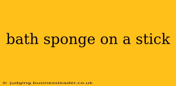 bath sponge on a stick