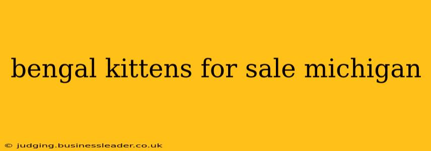 bengal kittens for sale michigan