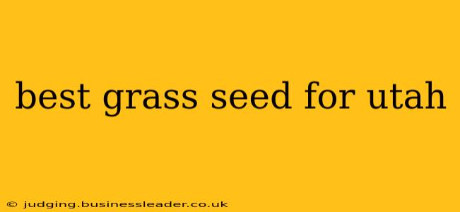best grass seed for utah