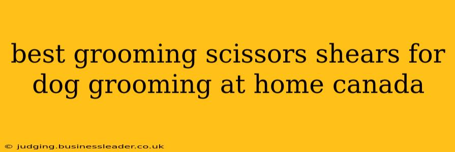 best grooming scissors shears for dog grooming at home canada