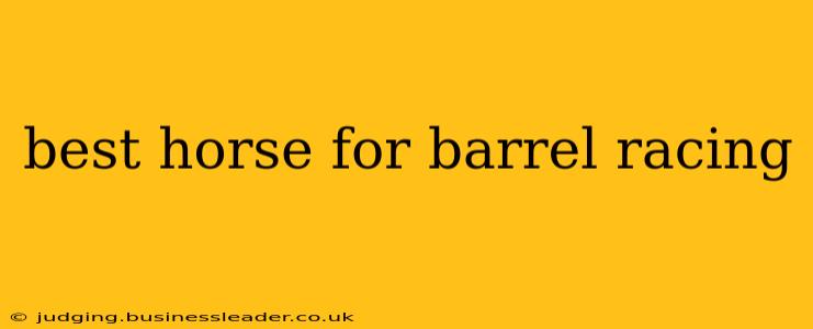 best horse for barrel racing