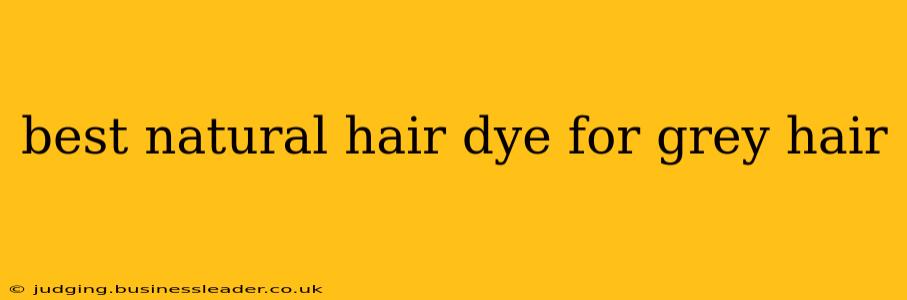 best natural hair dye for grey hair