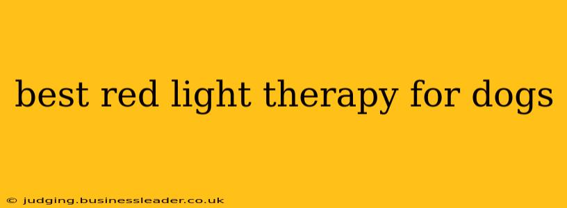 best red light therapy for dogs
