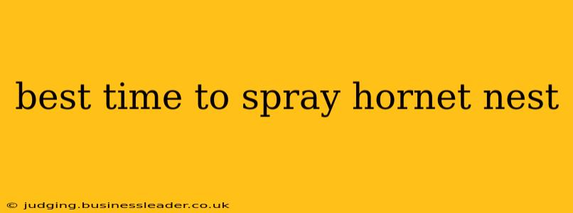 best time to spray hornet nest