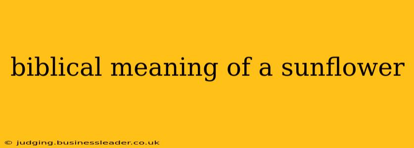 biblical meaning of a sunflower