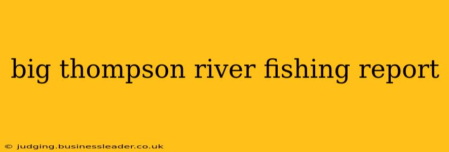 big thompson river fishing report
