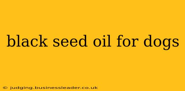black seed oil for dogs