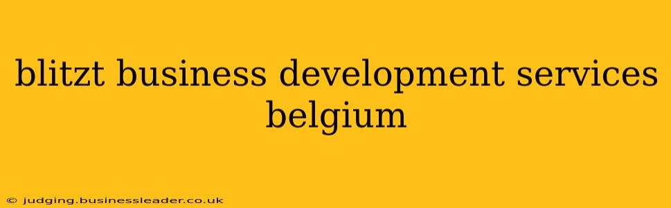 blitzt business development services belgium