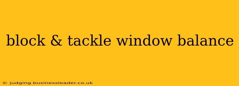 block & tackle window balance