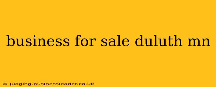 business for sale duluth mn