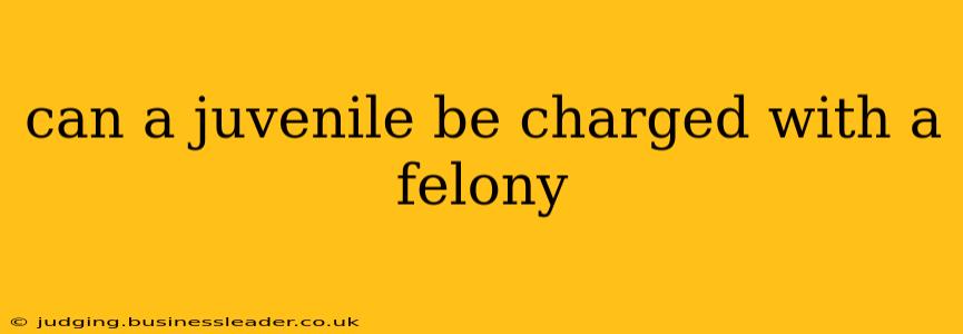 can a juvenile be charged with a felony