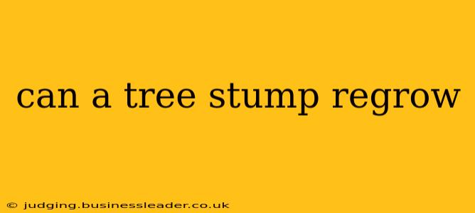 can a tree stump regrow