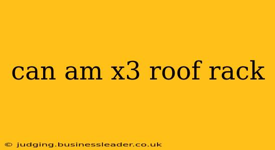 can am x3 roof rack