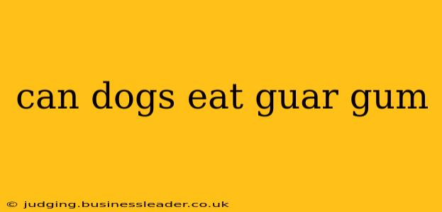 can dogs eat guar gum