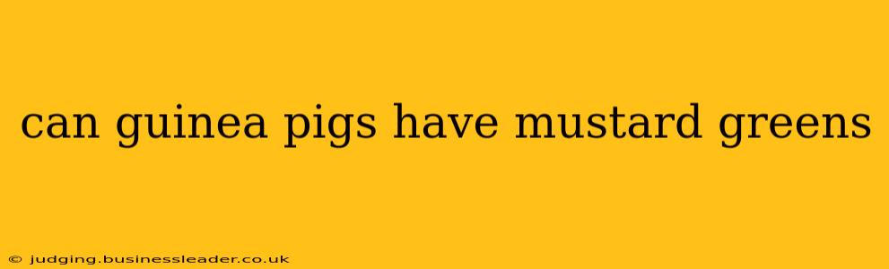 can guinea pigs have mustard greens