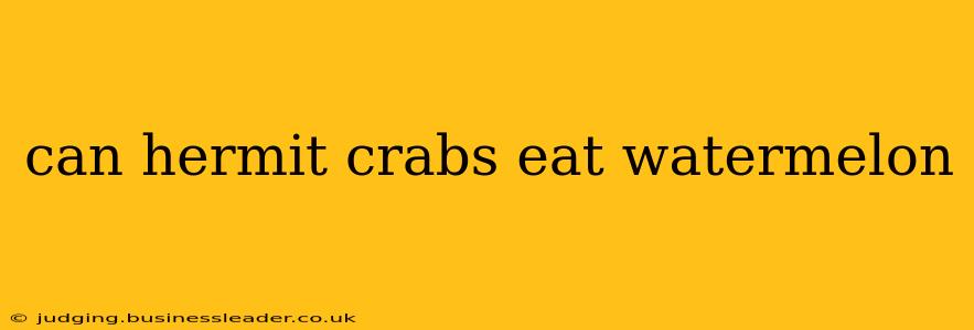 can hermit crabs eat watermelon