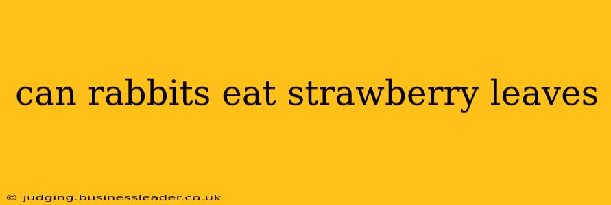 can rabbits eat strawberry leaves