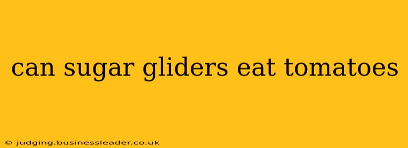 can sugar gliders eat tomatoes