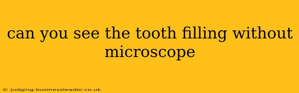 can you see the tooth filling without microscope
