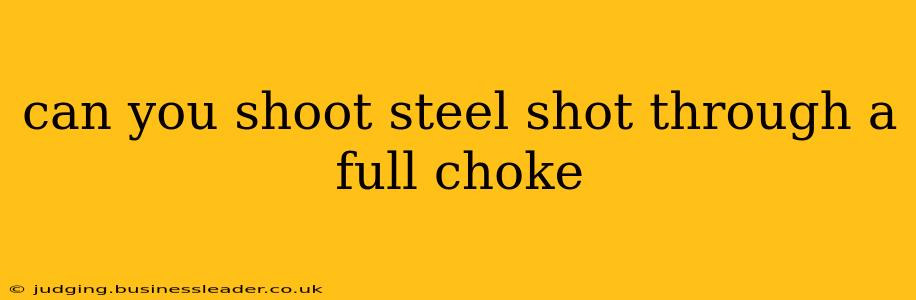 can you shoot steel shot through a full choke