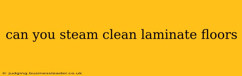 can you steam clean laminate floors