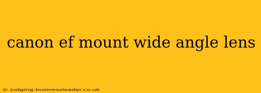 canon ef mount wide angle lens