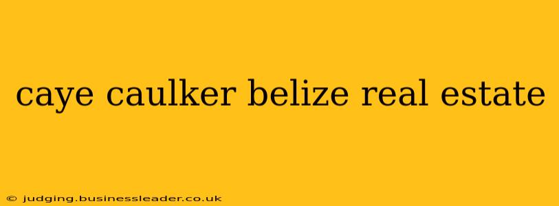 caye caulker belize real estate