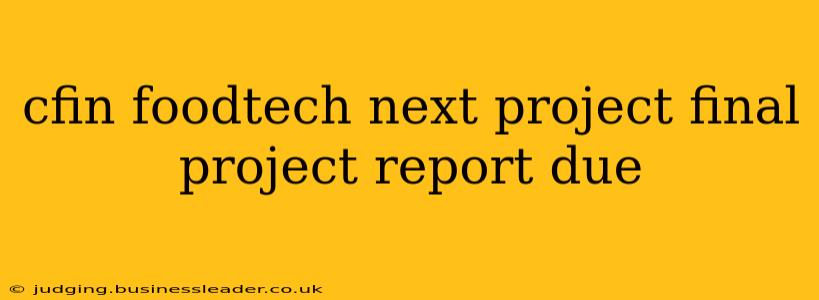 cfin foodtech next project final project report due