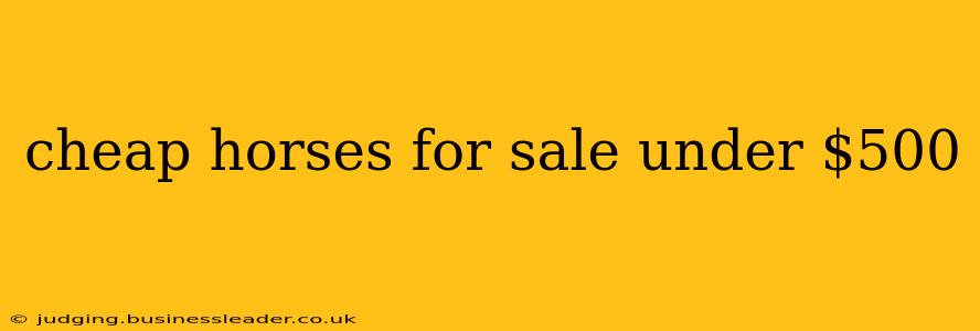 cheap horses for sale under $500